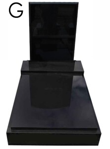 Shanxi Black G